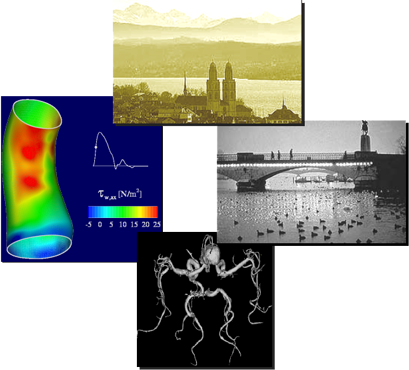 Flow and Motion Workshop, July 2004, Zurich, Switzerland